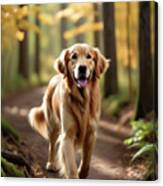 Golden Retriever Walking Down A Wooded Area Path. Canvas Print