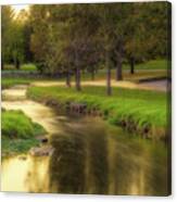 Golden River During The Golden Hour Canvas Print