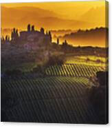 Golden Tuscany Canvas Print