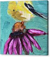 Goldfinch On A Coneflower Canvas Print
