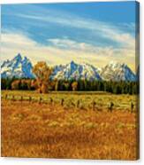 Grand Tetons Range Panorama Canvas Print