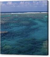Great Barrier Reef Canvas Print