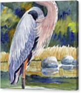 Great Blue Heron In A Stream Ii Canvas Print