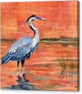 Great Blue Heron In Marsh Canvas Print