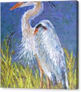 Great Blue Heron Canvas Print