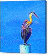 Great Blue Heron On Pier Right Canvas Print