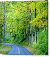Great Day For A Smokey Mountains Drive Canvas Print