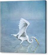 Great Egret Canvas Print