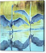 Great Egrets 3492-100620-2 Canvas Print