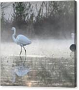 Great Egrets In The Mist 3100-010820 Canvas Print