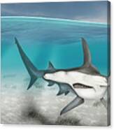 Great Hammerhead Shark, Sphyrna Mokarran - Urft-valley-art - Fine Art Print - Stock Illustration Canvas Print