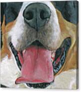 Greater Swiss Mountain Dog Mask 4 Canvas Print