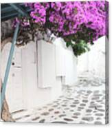 Greece Flowers Two Canvas Print
