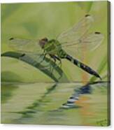 Green Dragon Canvas Print