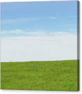 Green Grass And Blue Sky Canvas Print
