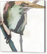 Green Heron Inmuto Canvas Print