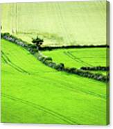 Green Irish Fields Canvas Print