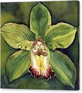 Green Orchid Canvas Print