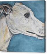 Greyhound I Canvas Print