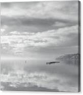 Gulls And Reflection Black And White Canvas Print