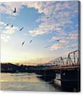 Gulls At The Bridge #2 Canvas Print