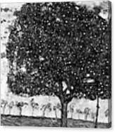 Gustav Klimt's Der Apfelbaum 1916 Bw Canvas Print