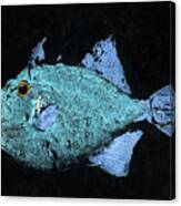 Gyotaku Triggerfish 17-10 Canvas Print