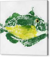 Gyotaku Triggerfish  20-04 Canvas Print