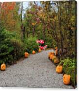 Halloween Pumpkins On The Gravel Trail Canvas Print