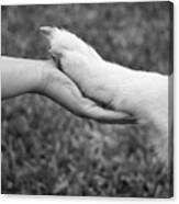 Hand In Paw Canvas Print