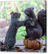 Hand Over A Nut Please Canvas Print