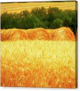Harvest Time In Idaho Canvas Print
