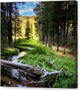 Hat Creek Paradise Canvas Print