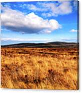 Haunting Beauty Of Culloden Moor Canvas Print