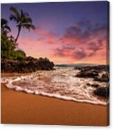 Hawaian Paradise Canvas Print