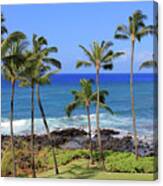 Hawaiian Palms Canvas Print