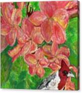 Hawaiian Red Cardinal In Plumeria Canvas Print