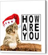 Hay How Are You Christmas Kitty With Black Letters Canvas Print