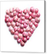 Heart Made Of Pink Shells On White Background Canvas Print