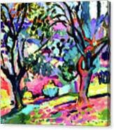 Henri Matisse - Olive Trees At Collioure Canvas Print