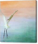 Heron Landing Canvas Print