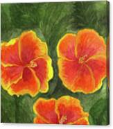 Hibiscus Three Canvas Print