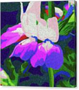 Hidden Violet Canvas Print