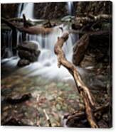 Hidden Waterfall Canvas Print