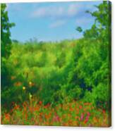 Hill Country Texas Wildflower Fields Canvas Print