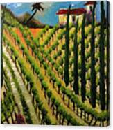 Hillside Vines Temecula Canvas Print