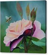 Honey Rose Canvas Print