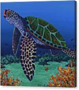 Honu And Coral Reef Canvas Print