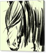 Horse Hair And Wind Canvas Print