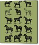 Horses In Green Canvas Print